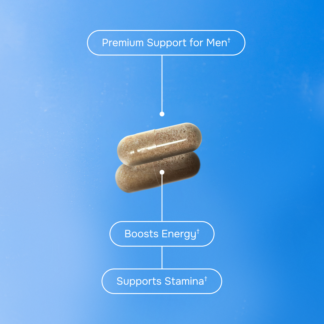 Gilark ® TestPro