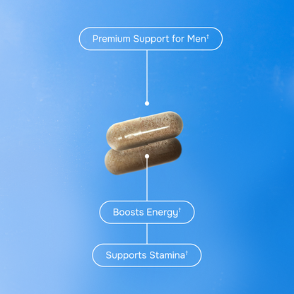 Gilark ® TestPro