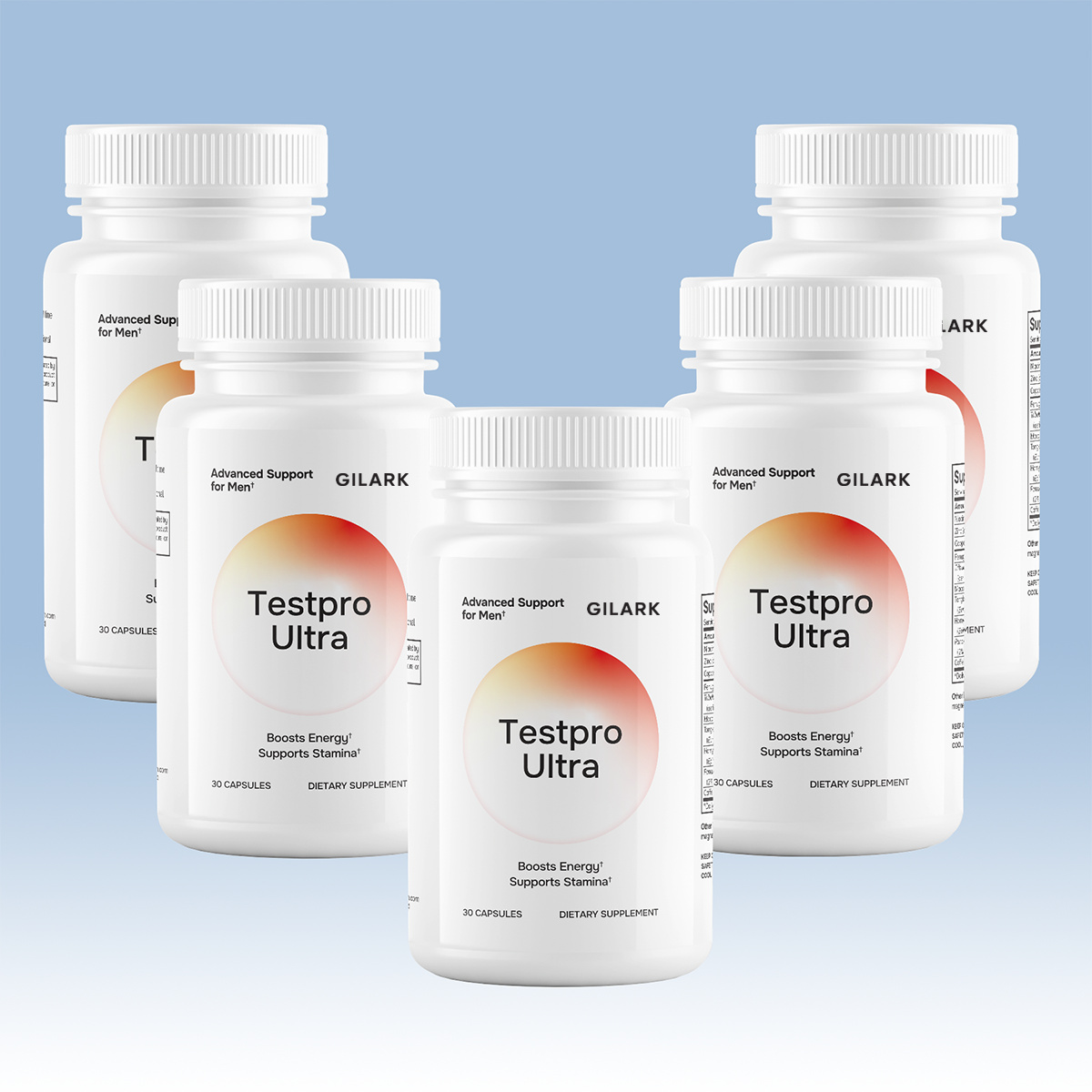 Gilark ® TestPro